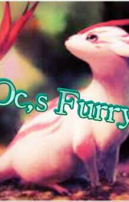 libro de oc,s furry