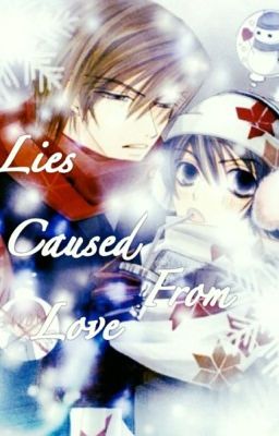 Lies caused from love - Junjou Romantica