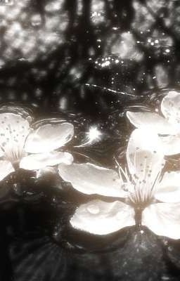 Liệu Chúng Ta Có Vượt Qua 4 Chữ 