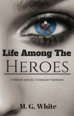 Life Among the Heroes: DC and Marvel Fanfic