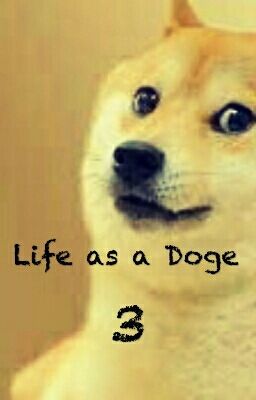 Life as a Doge 3