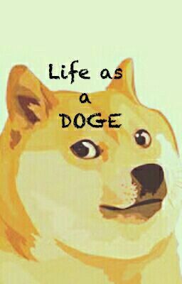 Life as a Doge