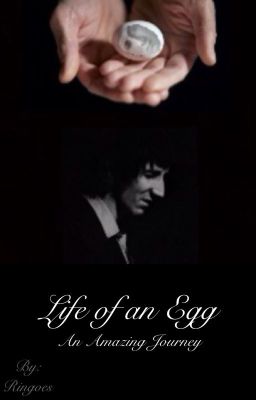 Life of an Egg