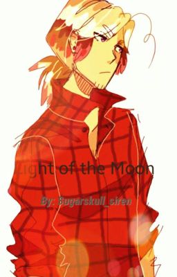 Light of the Moon (2p Canada x Reader)