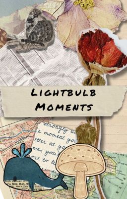 Lightbulb Moments