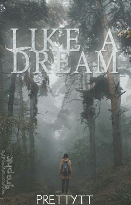 Like A Dream