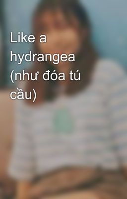 Like a hydrangea (như đóa tú cầu)