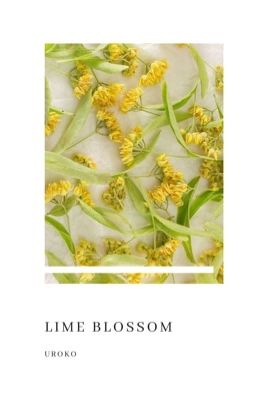 Lime Blossom || HunHan