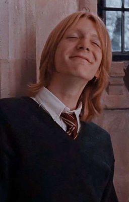 LINGER ✶ George Weasley