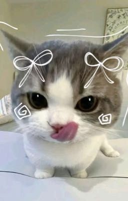 [linhgill] đón eimm