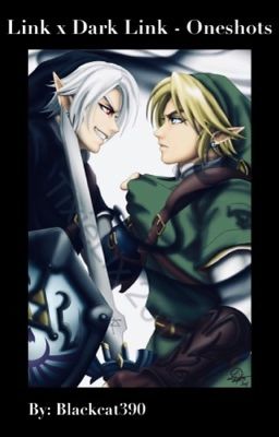 Link x Dark Link - Oneshots