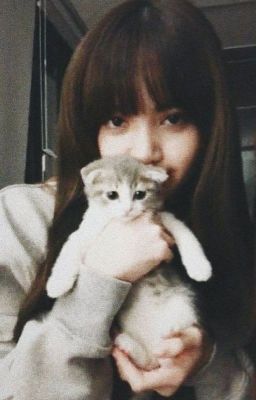 [lisoo] heart-thief cat of Lalisa