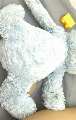 List ngôn tình hay đã đọc