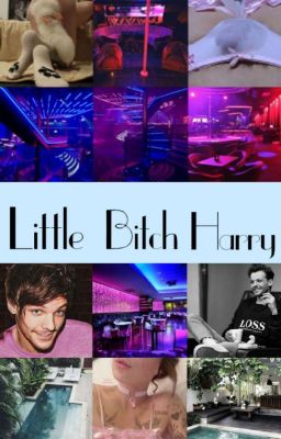 Little Bitch Harry || l.s. 