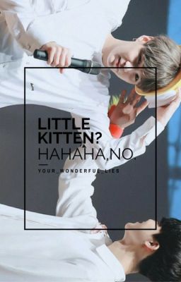 Little Kitten? Haha no. [YoonMin]