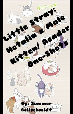 Little Stray: Hetalia x Kitten!M!Reader