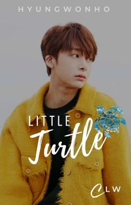 Little Turtle