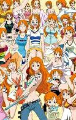 Livre d'image Nami One Piece