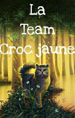 Livre de la Team Croc Jaune