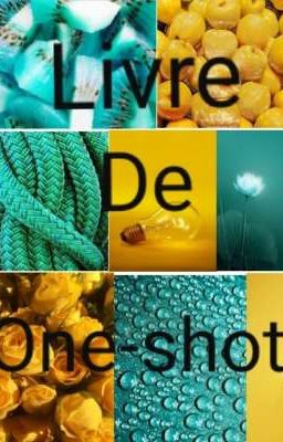 Livre de One-Shot