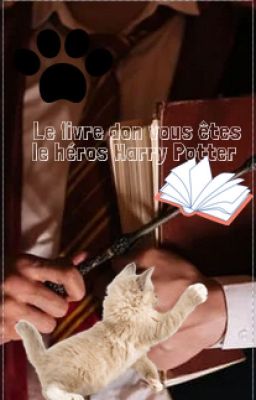 Livre dont vous êtes le héros Harry Potter