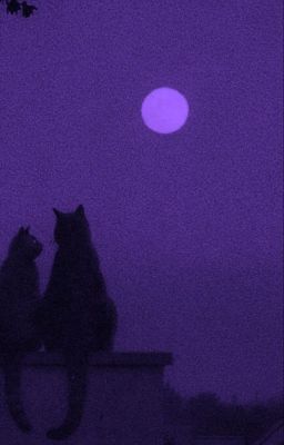 [LMSY] MRN-06 | Hoàn