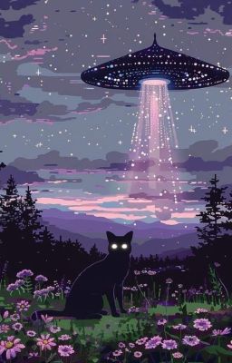 [LMSY] MRN-10 | Hoàn