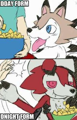 Lo que pensamos los Lycanroc Nocturnos