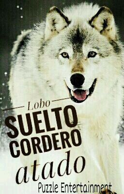 Lobo suelto Cordero atado »SuHan