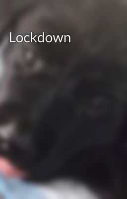 Lockdown 