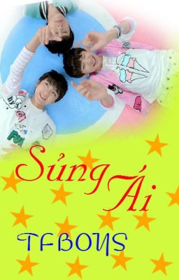 Lời Việt Bài Hát Sủng Ái | TFBOYS