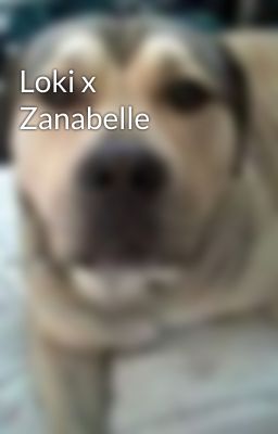 Loki x Zanabelle