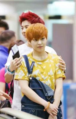 [Long Fic][ LuMin /XiuHan] Bạn trai vệ sĩ !