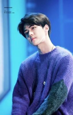 [Long Imagine] Còn gì đẹp hơn hạnh phúc chúng ta? ( EXO/ Sehun & You)