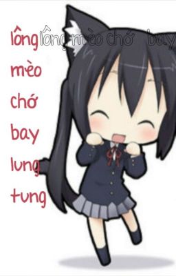 Lông mèo, chớ bay lung tung!