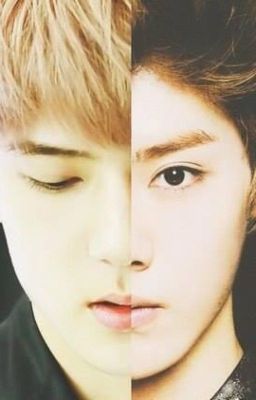 [Longfic-Chuyển ver/ HunHan] Dụ Tình - Lời mời của boss thần bí