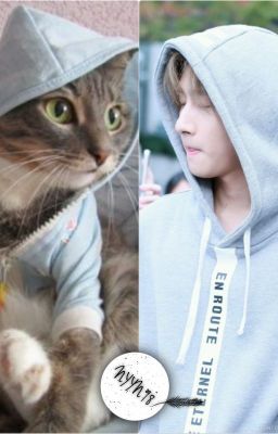 [Longfic] Meow~ [ChangKi]