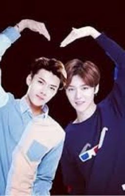 [LongFic][Oneshot] [HunHan] Anh Yêu Em, Dù Em Chỉ Là Fan !