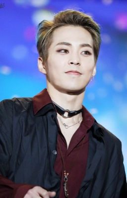 [Longfic]_[Xiumin]_[Fangirl]_[EXO] We will be fine