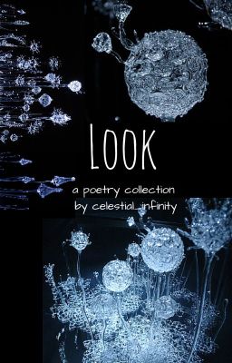 Look: A Poetry Collection