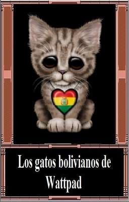 Los gatos bolivianos de wattpad (terminado)