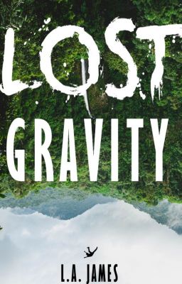 Lost Gravity