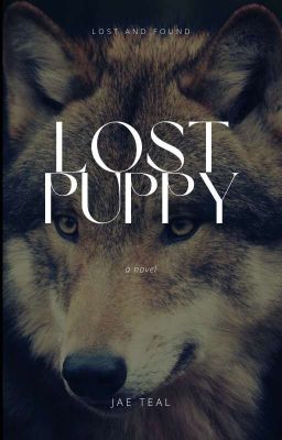 Lost Puppy