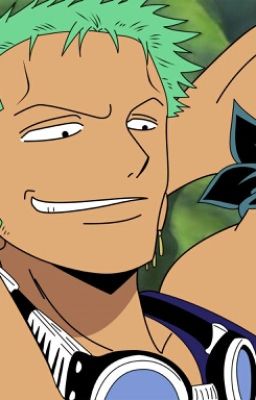 Lost~ Zoro x Reader