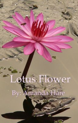 Lotus Flower