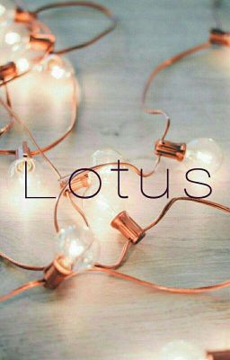 Lotus °~Vkook~°