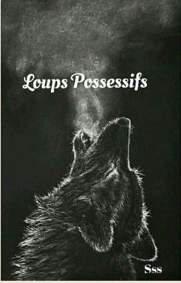 Loups Possessifs [EN PAUSE]