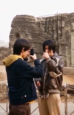 louyul; lừa đảo