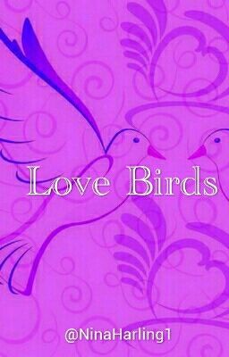 Love Birds Poem