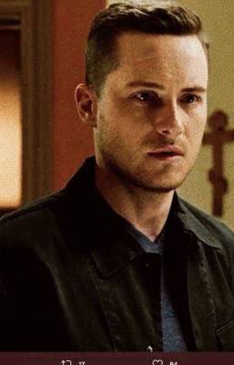 Love is a funny thing... A Jay Halstead Fan-Fic (BOOK 4 OMG)